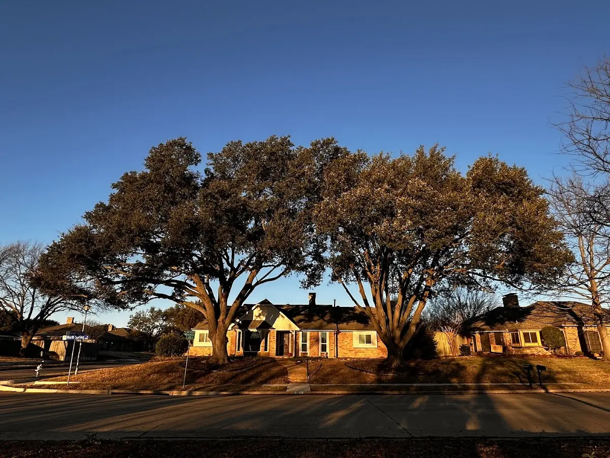 Established residential canopy tree shading a home in Walla Walla